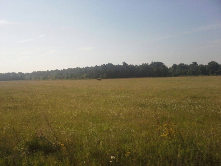 Natuurpercelen te koop in natuurgebied de Maashorst